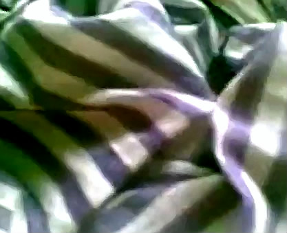 Moeder en zoon uit Bangladesh plegen geile incest